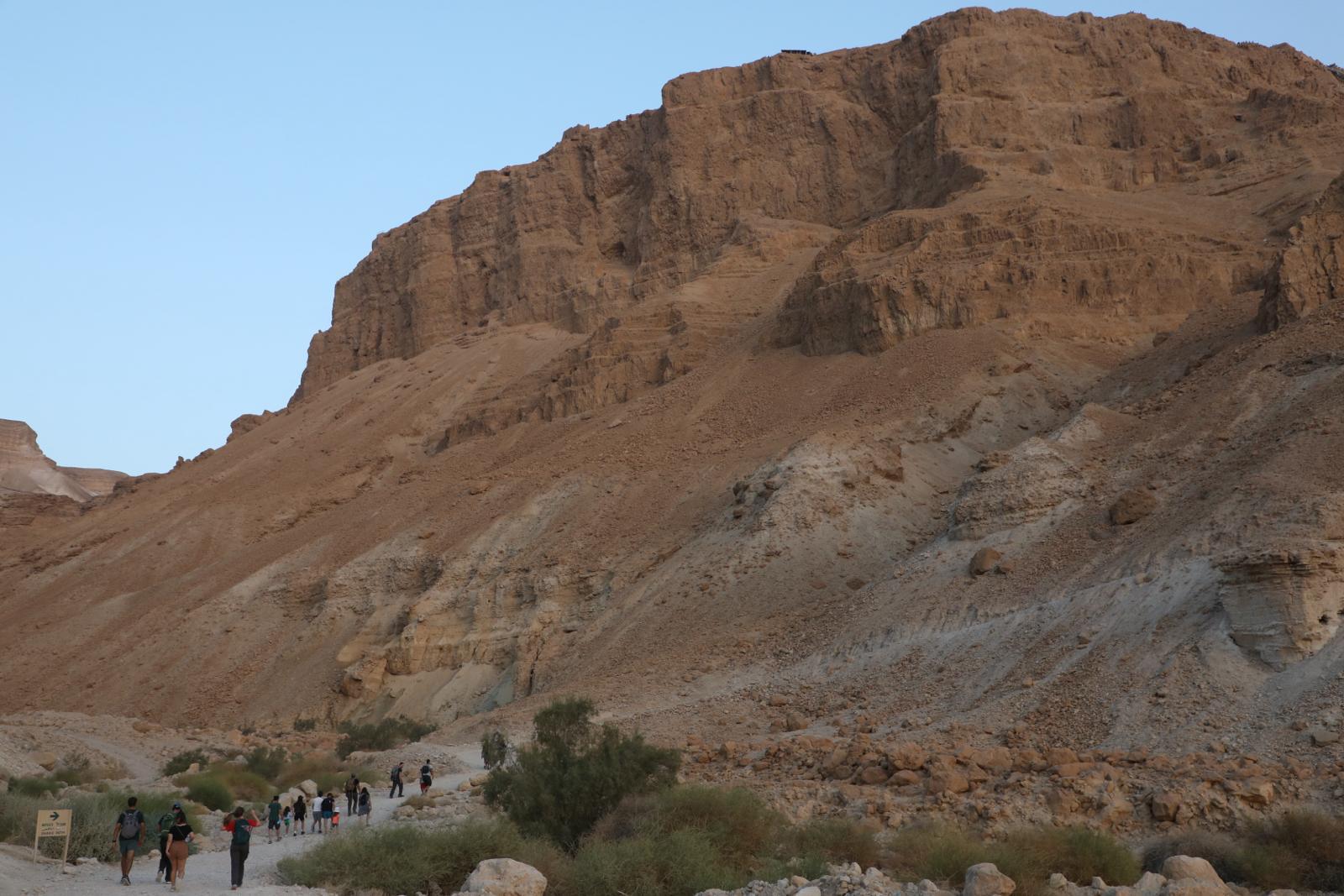 e16bf482-cbf0-4c51-9df7-2ab0935e470a