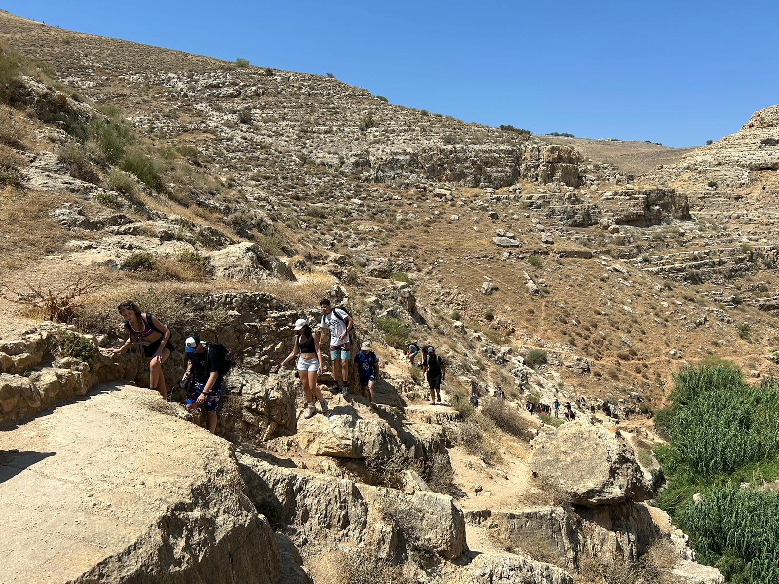 6173fa9f-a72a-4346-8c8b-75f4d04ec08a