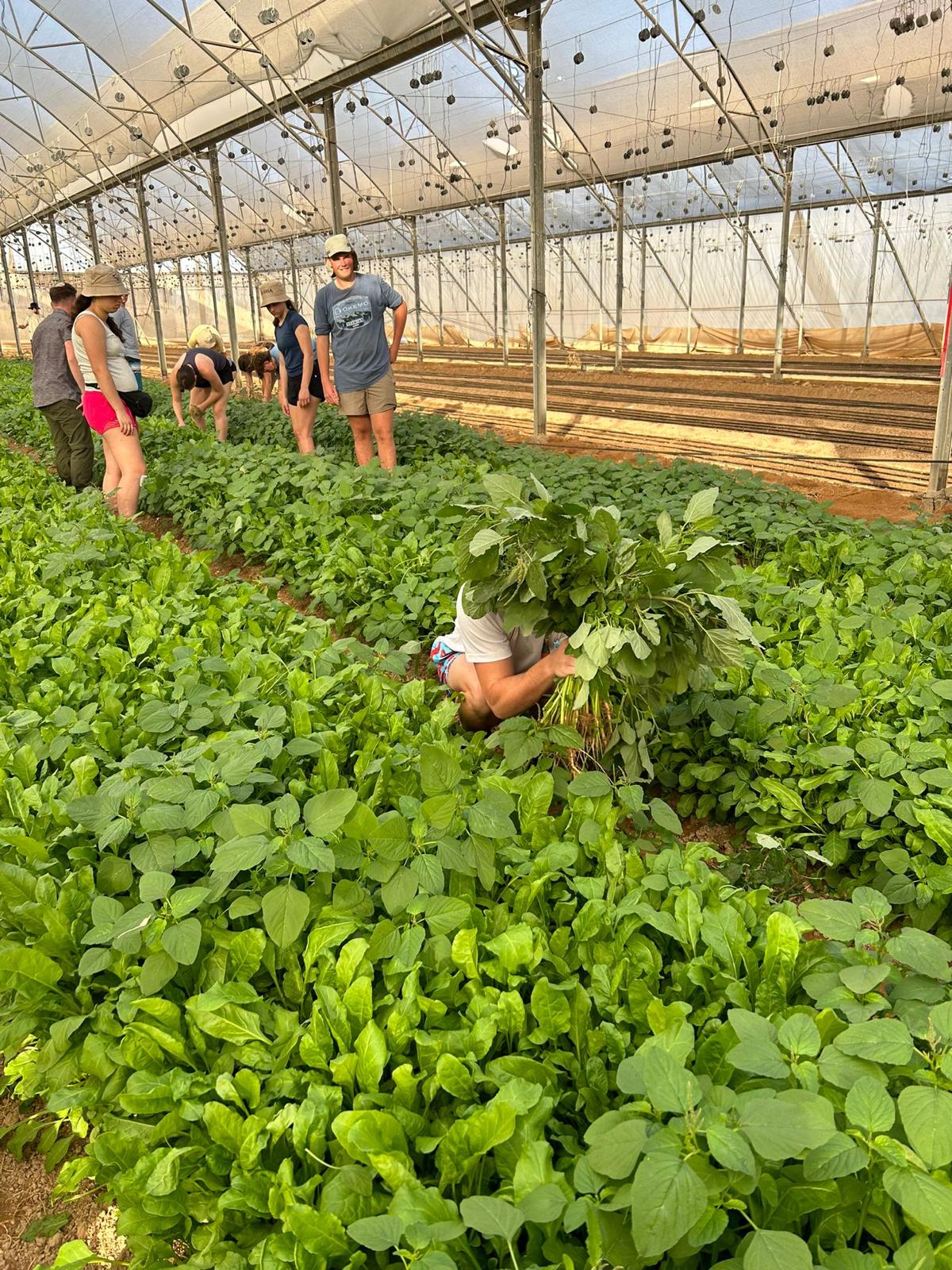 942f57ed-a3e4-4739-9a4f-3d8c37a3a817