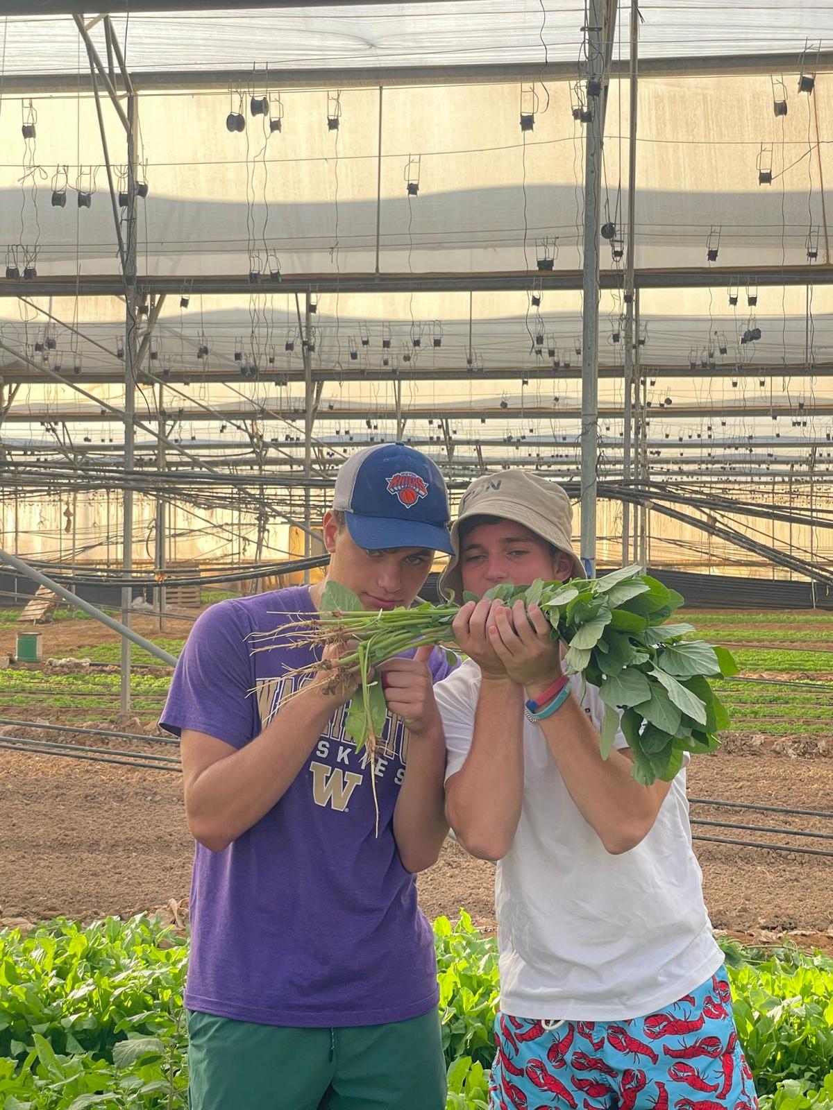 dfcb9437-05d0-4ddd-ba93-54bcf1f32d2e